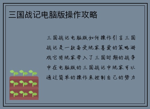 三国战记电脑版操作攻略